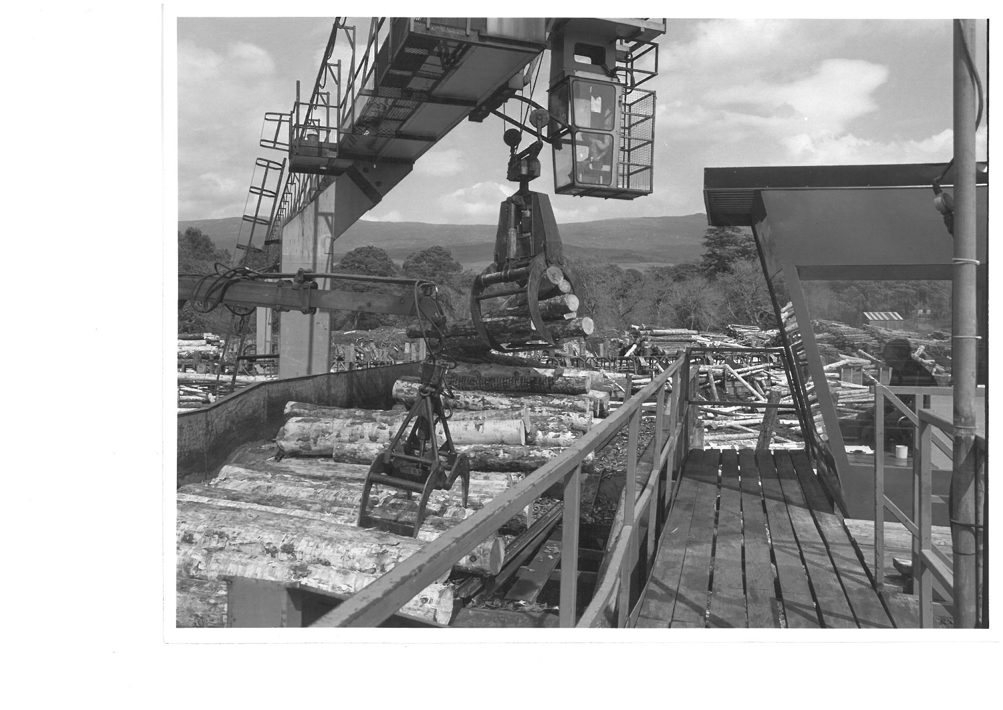 Celebrating 50 years of excellence at BSW Timber’s Fort William sawmill ...